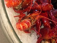-红盔甲·小龙虾(天钥桥店)