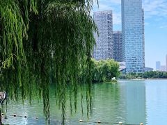 -天鹅湖体育公园