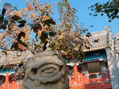 -北京石刻艺术博物馆(五塔寺)