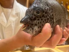 -镹·鱼料理  国产鱼使用店