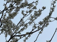 -南开大学(津南校区)