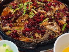 -老板恋上鱼(恒隆广场店)