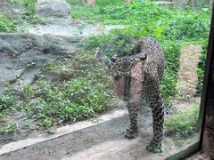 -清迈夜间动物园