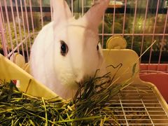 -藦茜花园宠物主题亲子互动体验馆(国顺东路店)