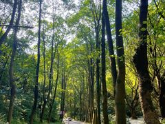 -广州市白云山风景名胜区