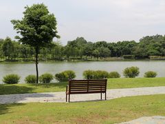 -东莞植物园