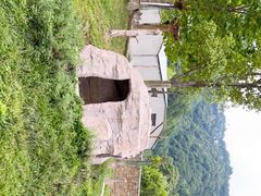 -卧龙中华大熊猫苑神树坪基地