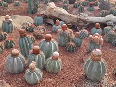 -南通洲际绿博园