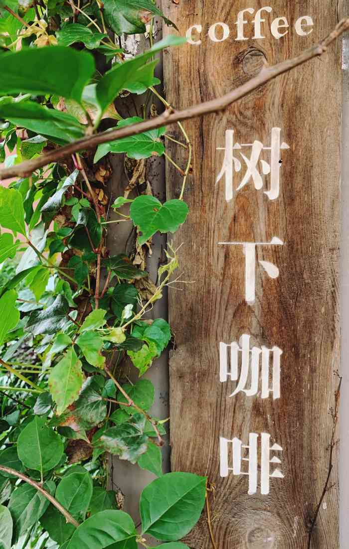 树下·咖啡-"洪殿北路筲箕涂小区新开的一家老式民房咖啡.