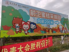 -上海长兴岛郊野公园