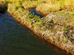 景点-腾冲北海湿地