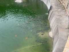 -东山风动石景区