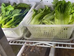 -金鼎雪山牦牛杂火锅(理县总店)