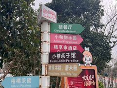 -上海长兴岛郊野公园