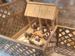 -酷嗒动物文化乐园(cutezoo西溪乐天城店)