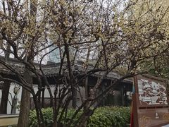 -南京市民俗博物馆(甘熙故居)