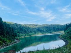 -武陵山森林公园