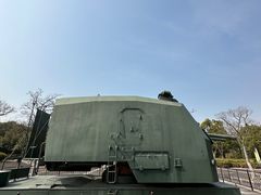 -上海吴淞炮台湾国家湿地公园
