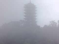 -缙云山景区