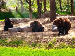 -北京野生动物园