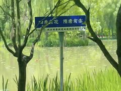 -洛阳市隋唐城遗址植物园