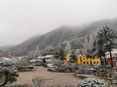 -曾福兴