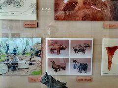 -北京动物园-畅观楼