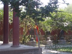 -普乐寺