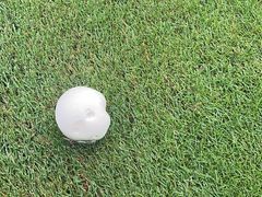 -麓湖高尔夫球俱乐部