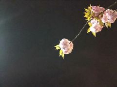 -江南大学(蠡湖校区)