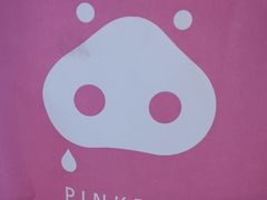 -WHEN PIGS FLY当猪飞