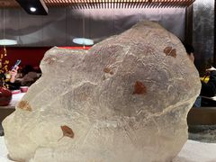 -京华烟云·北京烤鸭(领展购物广场·中关村店)