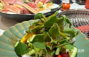 Special Wild Vegetable Salad