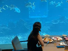 -海棠湾洲际-涛·海底餐厅·美人鱼·自助餐·海底隧道