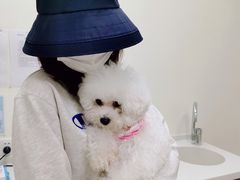 -美联众合动物医院·24h转诊中心
