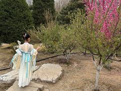 -燕郊植物园