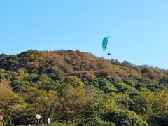 -海宁市观音寺