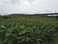 -光明小镇欢乐田园