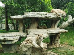 -北京野生动物园