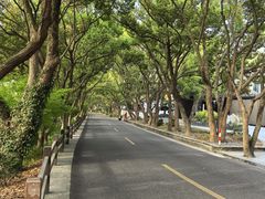 -普陀山风景名胜区-千步大沙