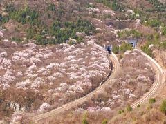-居庸关长城