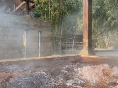 -春晖园度假酒店温泉