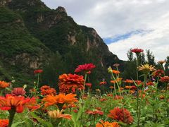 -百里峡七彩艺术小镇