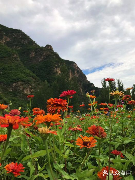 百里峡七彩艺术小镇图片