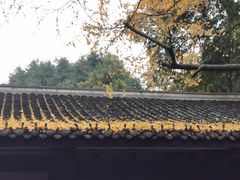 -成都杜甫草堂博物馆