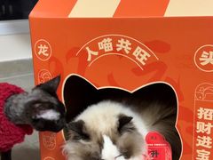 -鱼上·烤鱼(万象城店)