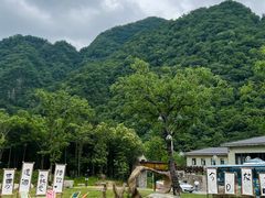 -牛背梁国家森林公园