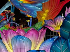 -花博汇(知音花月夜)