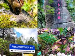 -汤旺河林海奇石景区