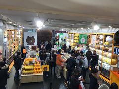 -line friends(明洞旗舰店)